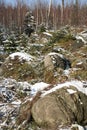 Karst formations Ã¢â¬â Stolowe Mountains - Poland